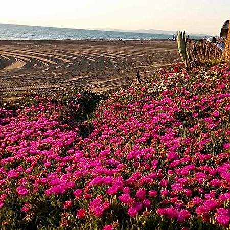 Hotel Lupo Di Mare Marina di Castagneto Carducci Εξωτερικό φωτογραφία