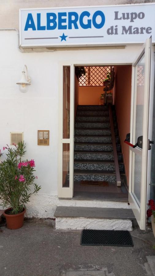 Hotel Lupo Di Mare Marina di Castagneto Carducci Εξωτερικό φωτογραφία